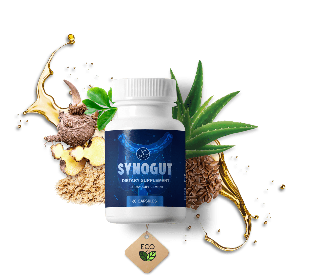 SynoGut